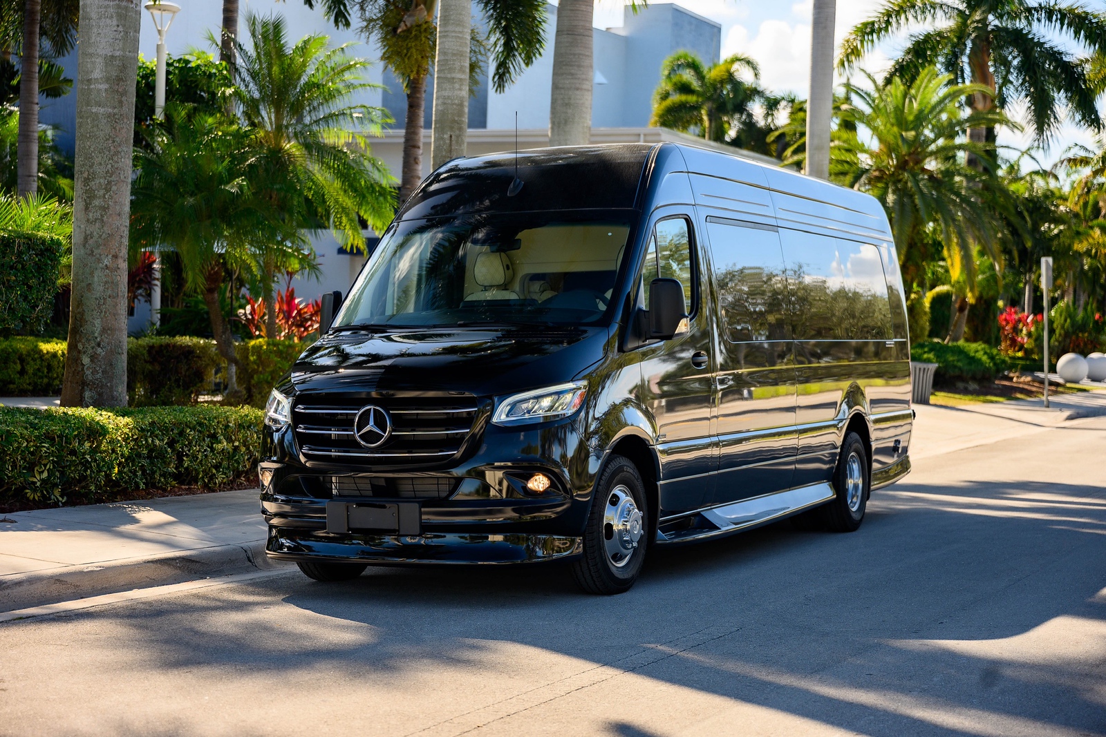 Luxury chauffeured Mercedes sedan on a scenic mountain road